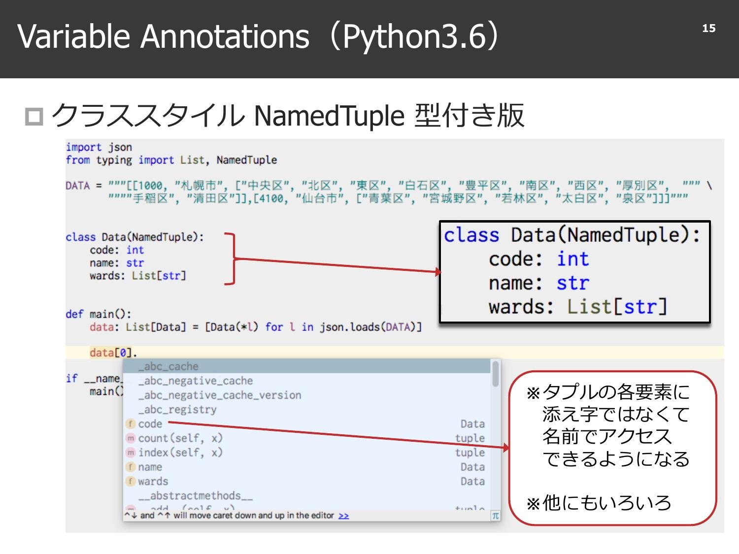 Python Type Annotation  page 16