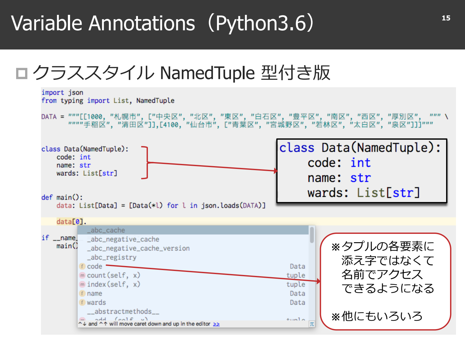 Python Type Annotation page 16