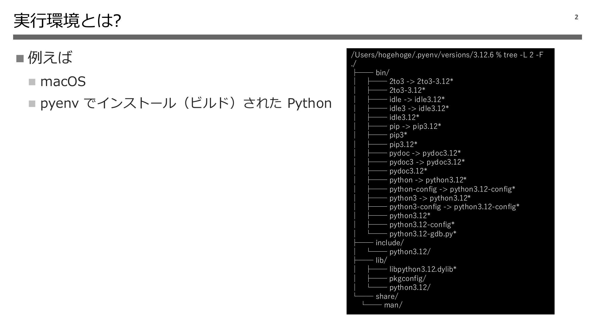 Python 実行環境の話 2024 page 3