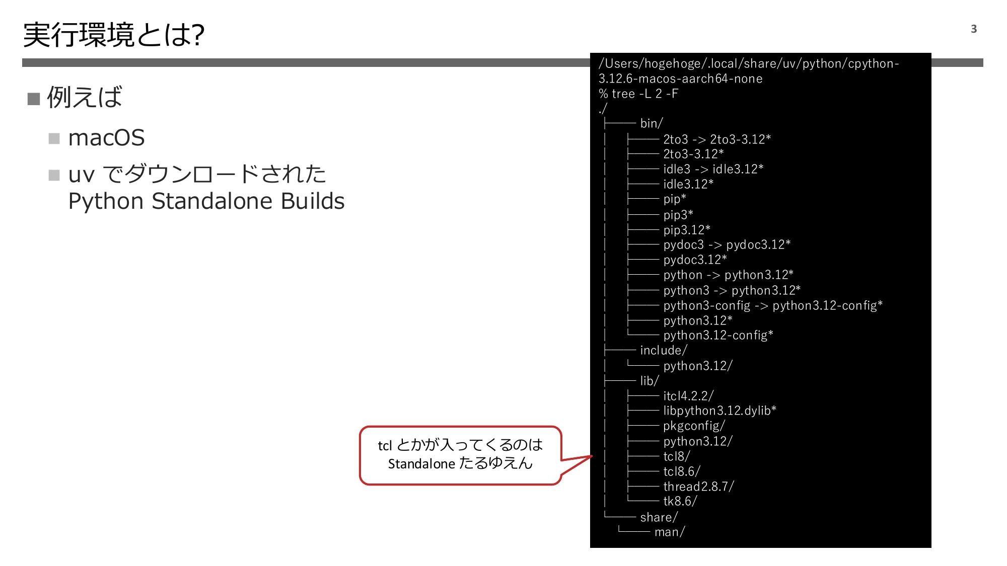 Python 実行環境の話 2024 page 4