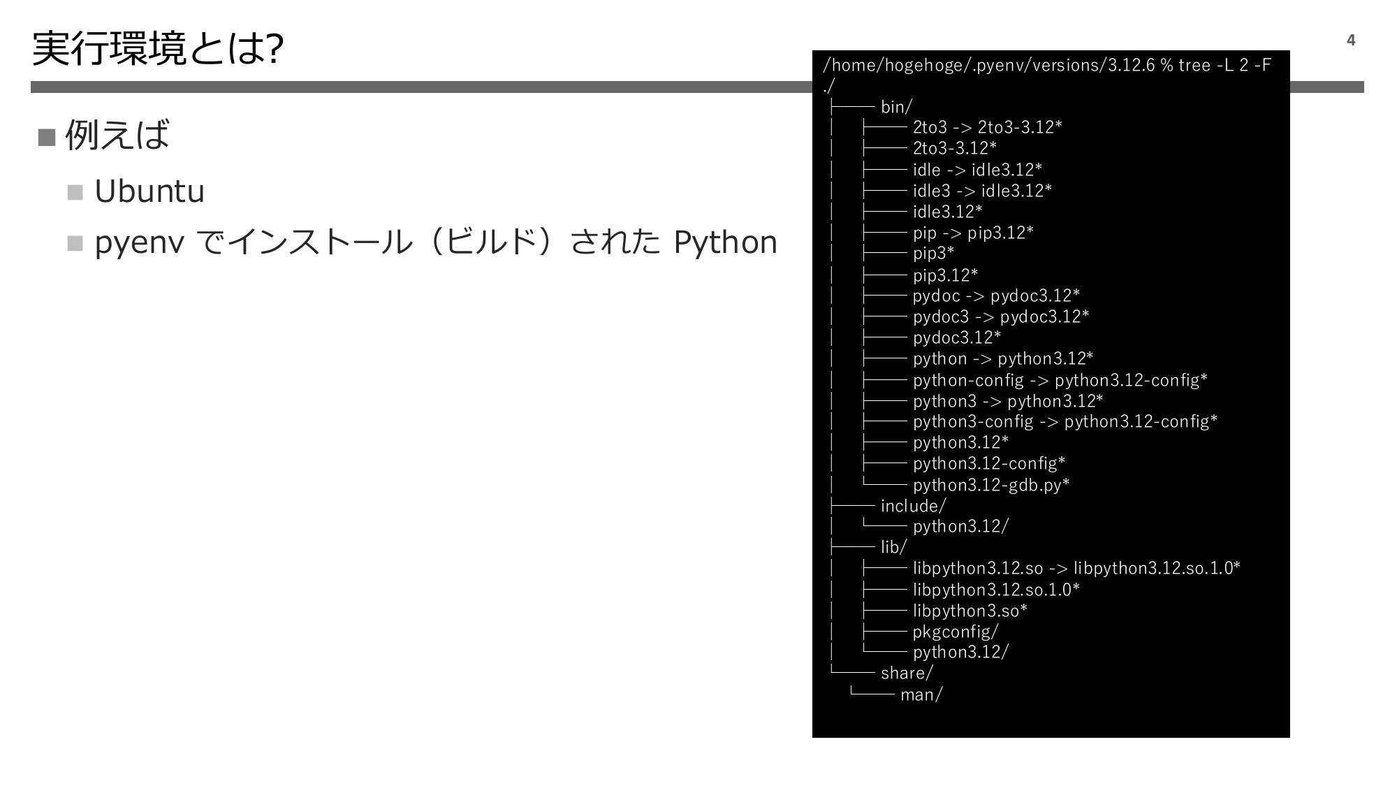 Python 実行環境の話 2024 page 5