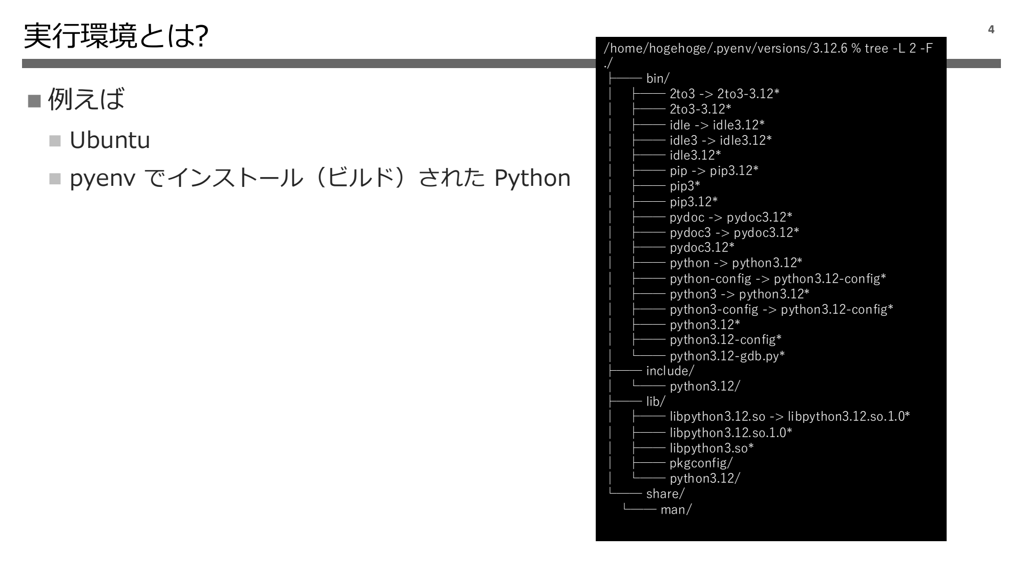 Python 実行環境の話 2024 page 5