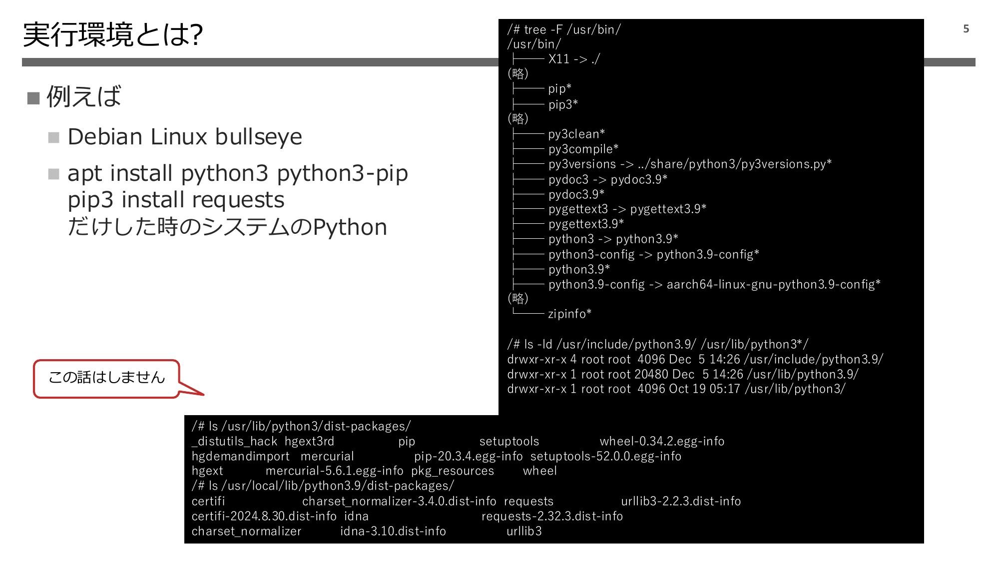 Python 実行環境の話 2024 page 6